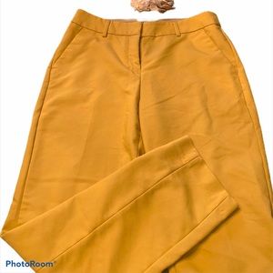 Express Mid Rise columnists ankle pant